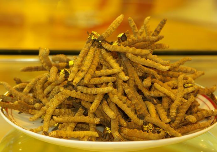 桥头这边有礼品回收实体店吗