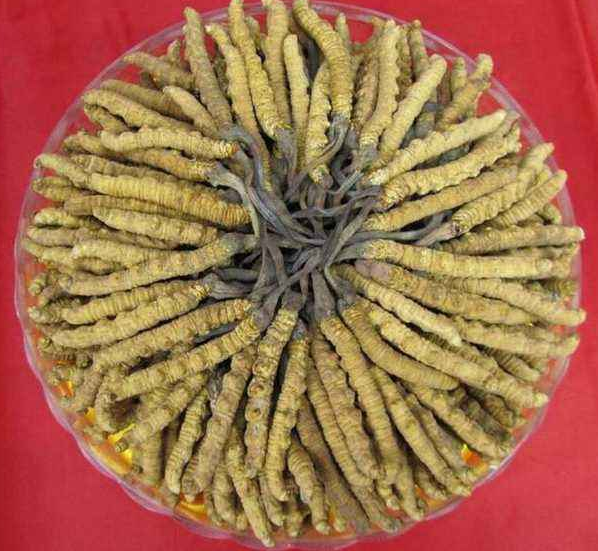 桥头上门礼品回收店铺