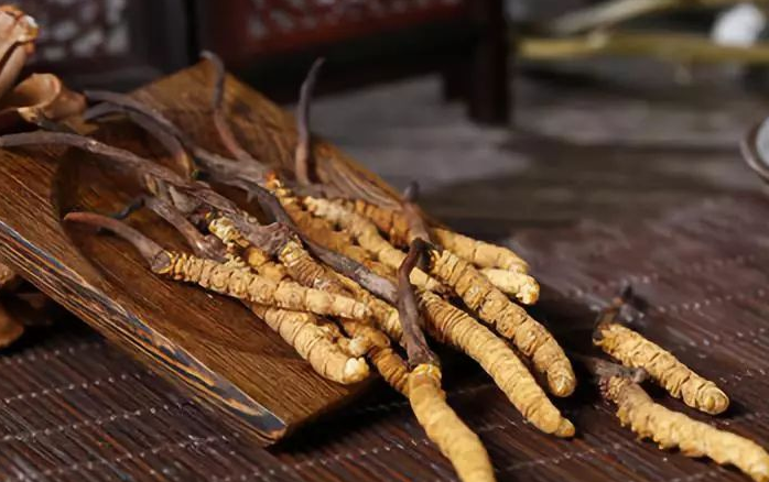 深圳虫草回收网