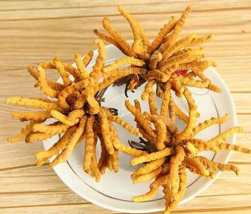 天河虫草回收网