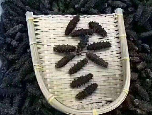 广州海参回收网