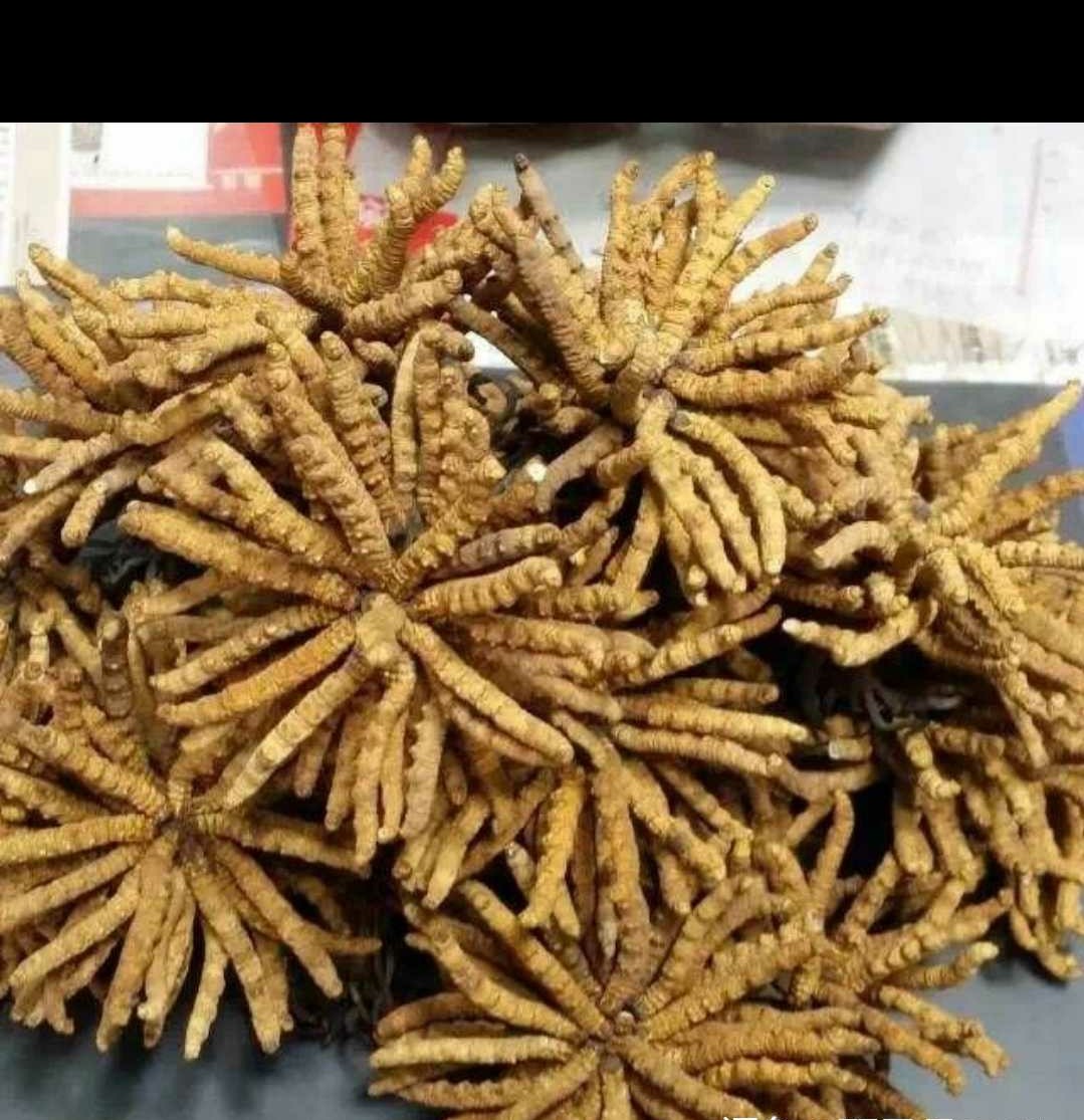 谢岗上门礼品回收