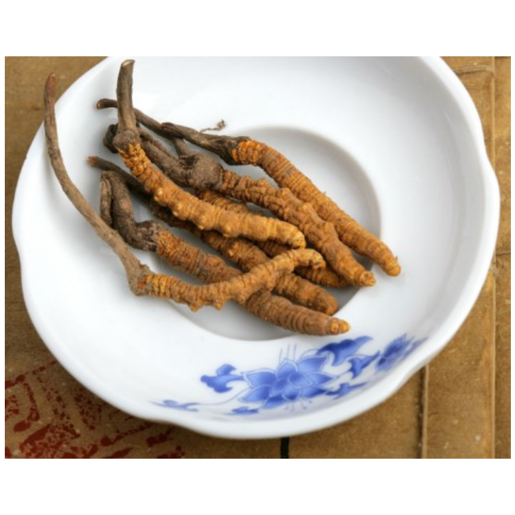 深圳免费上门虫草回收价格多少钱