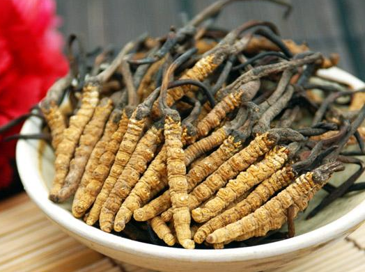 荔湾虫草回收价格