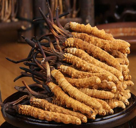 石龙虫草回收一克多少钱