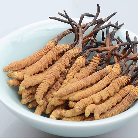 前山虫草回收价格多少钱一克