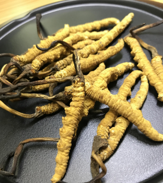 莞城虫草回收多少钱一克