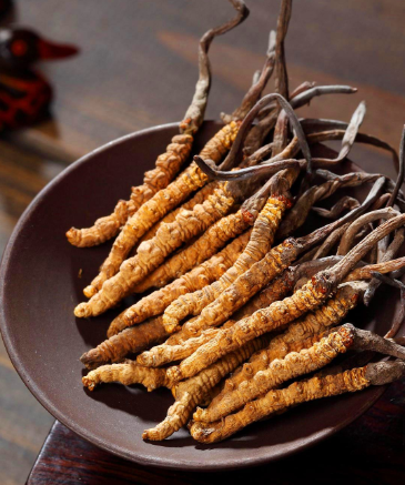 大朗虫草回收实体店