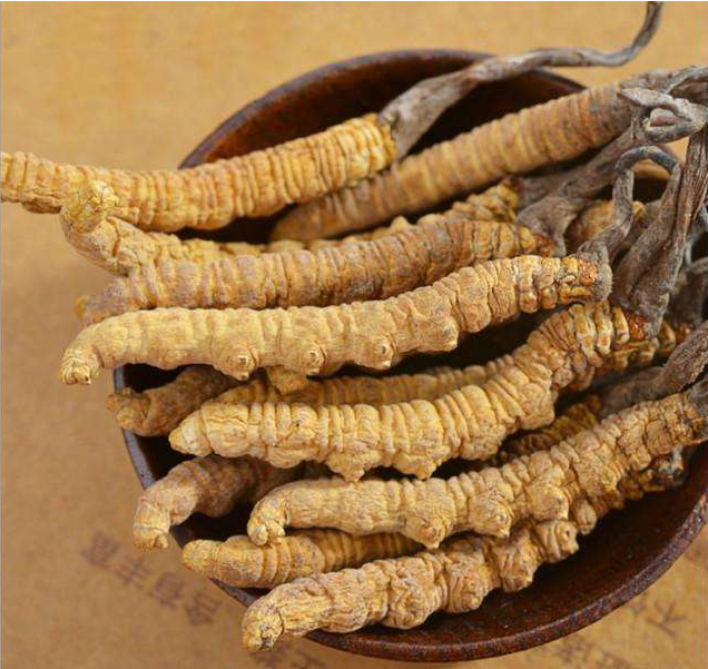 黄埔虫草回收多少钱