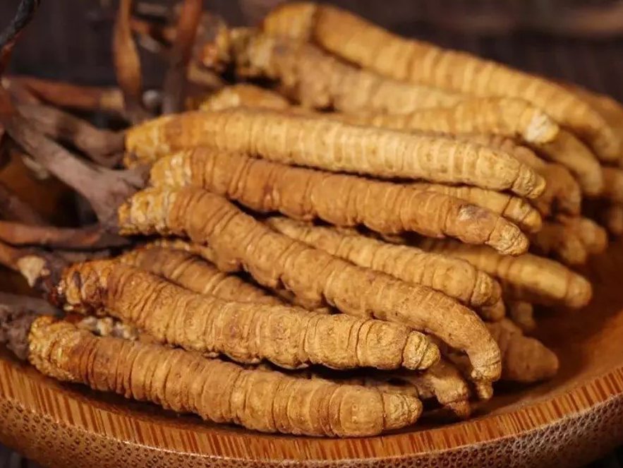 广州虫草回收,近期虫草回收多少钱