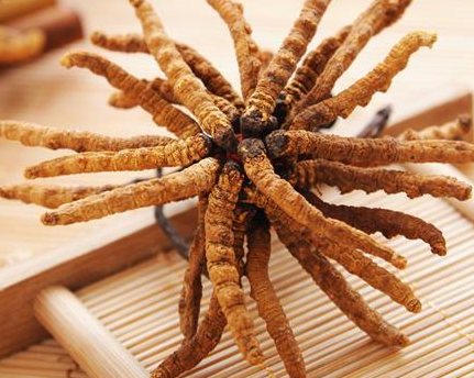 广州虫草回收一盒多少钱