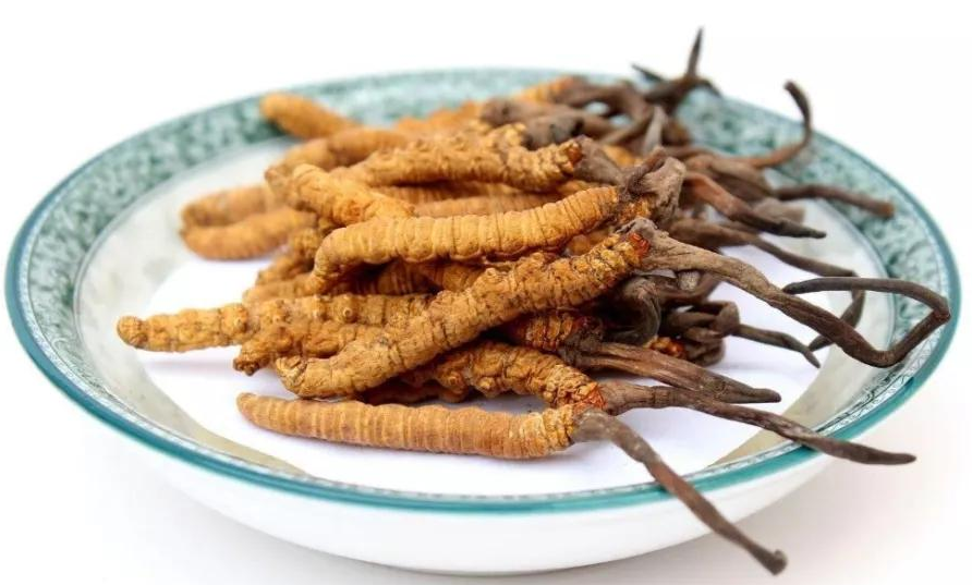 广州虫草回收具体价格是多少