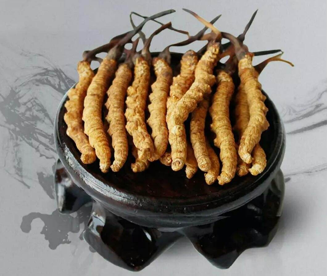 大朗虫草回收商家