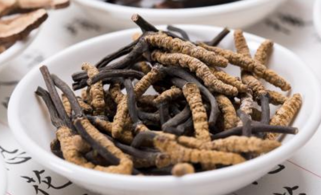 大朗虫草回收系列有哪些