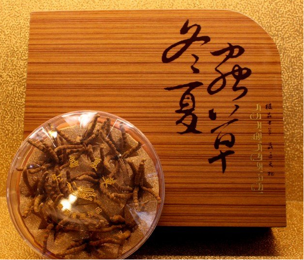 常平虫草回收商家