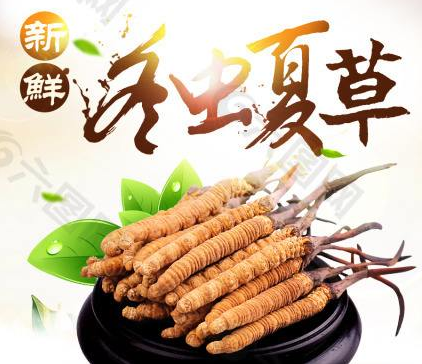 横沥哪里有长期虫草回收商家