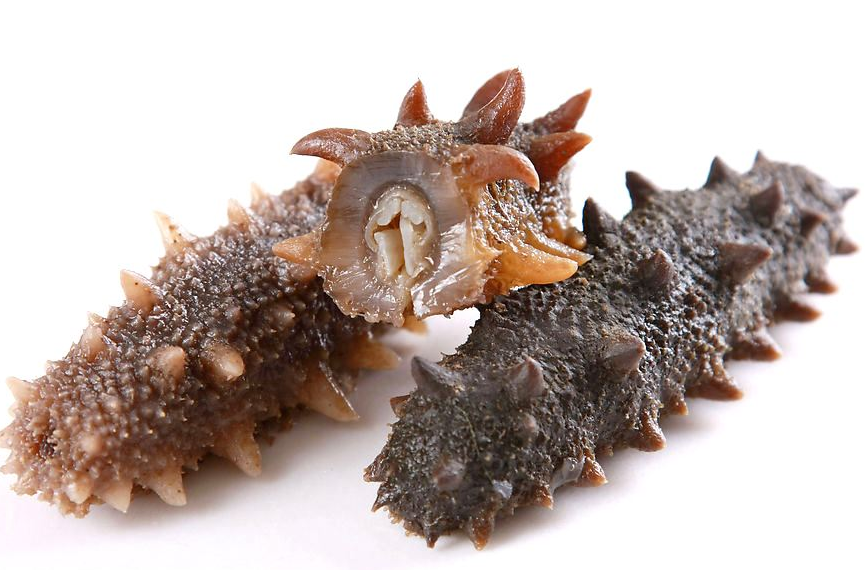 光明礼品回收实体店位置