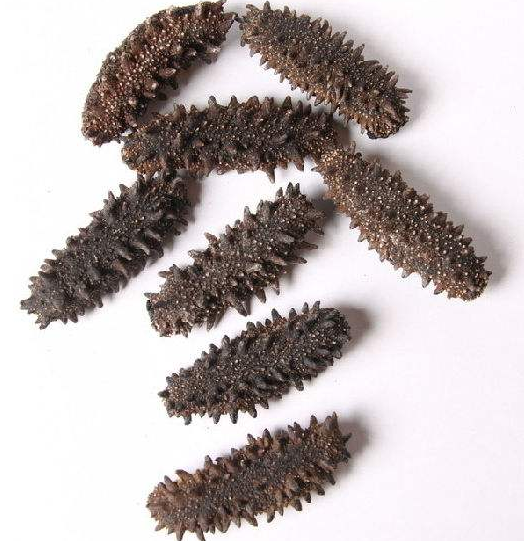 东坑上门礼品回收