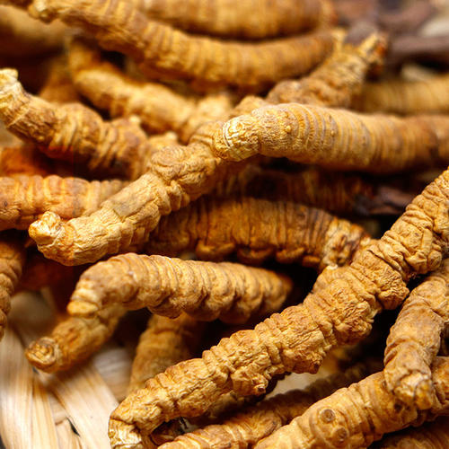 龙川礼盒装礼品回收价位