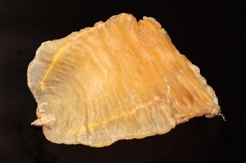 坪山鱼胶回收商家介绍