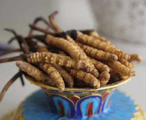 桥头礼品怎样回收