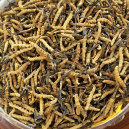 长安常年礼品回收系列有哪些