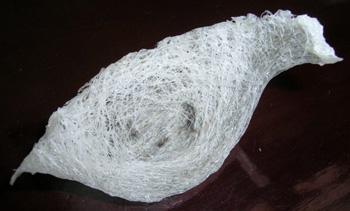 佛山燕窝回收详细介绍