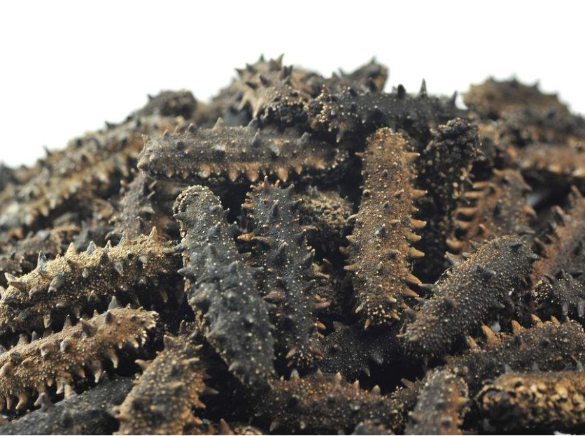 南沙专业礼品回收商家在哪