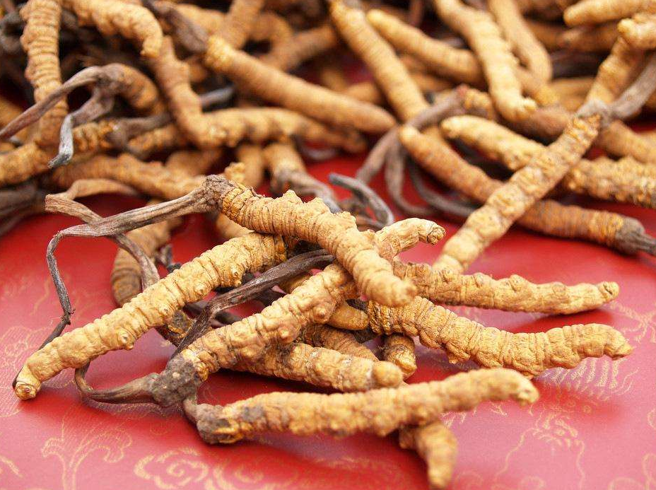 南沙礼品回收价格在线在线解答