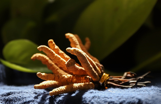 大涌长期礼品回收高价