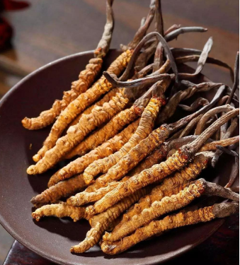 珠海发霉虫草回收价格多少