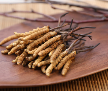 香洲虫草回收礼盒装价格说明