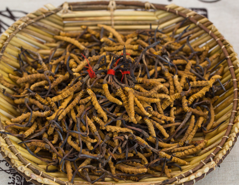 前山高价虫草回收提供上门