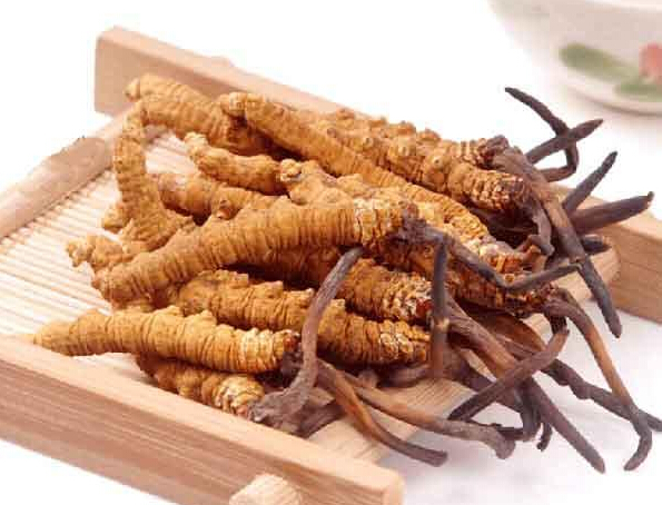 惠州虫草回收一千克多少钱