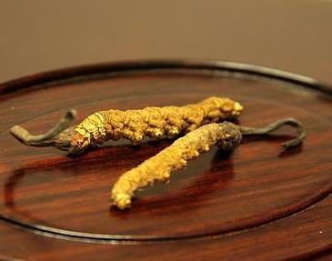 寮步虫草回收价格如何