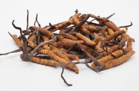 桥头那曲虫草回收价格一览