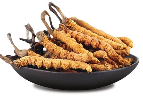 塘厦虫草回收多少钱一克