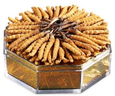 樟木头上门虫草回收价格如何