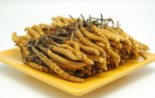 望牛墩专业虫草回收商家在哪