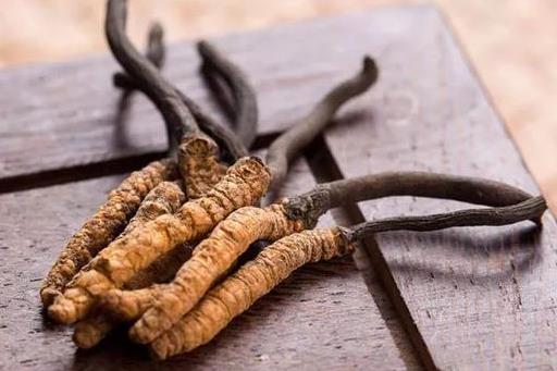 东莞虫草回收多少钱一克