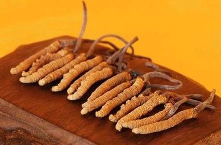 东莞免费上门虫草回收