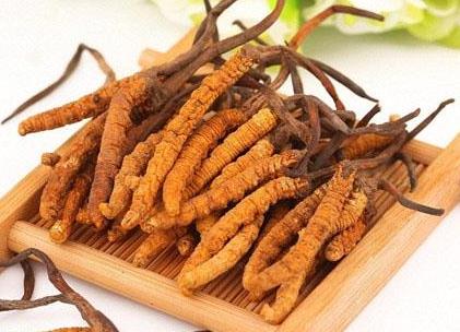 东莞虫草回收多少钱一根