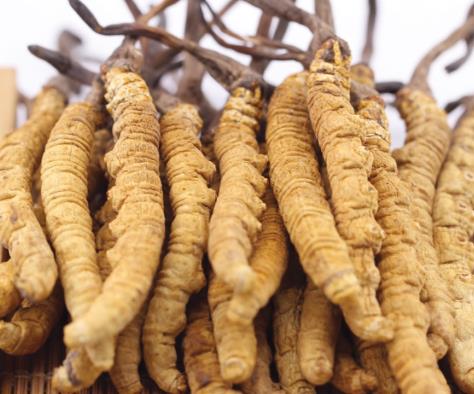 东莞那曲虫草回收多少钱一克