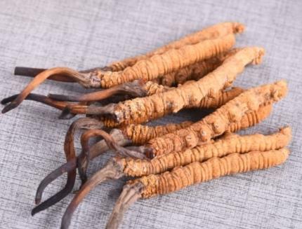 紫金预约上门虫草回收商家