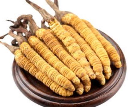 连平虫草回收多少钱一克