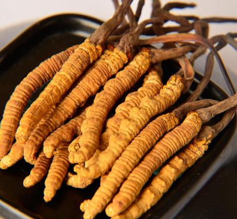 东源上门虫草回收价格如何