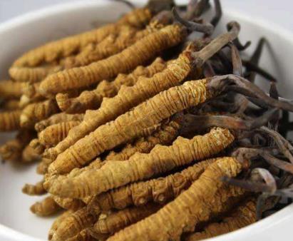 河源高价虫草回收多少钱一克