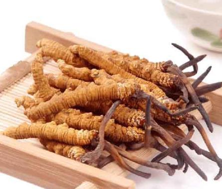 英德专业虫草回收商家在哪里