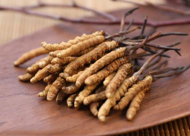 英德专业虫草回收商家报价