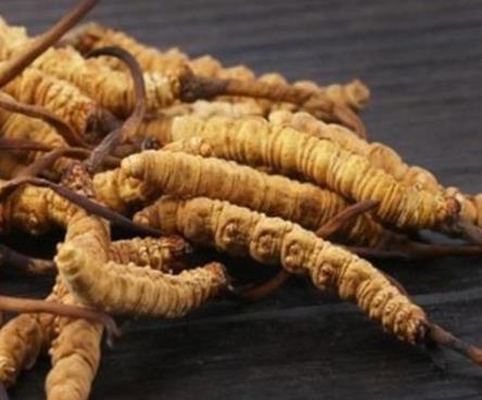 清新高价虫草回收价格多少钱